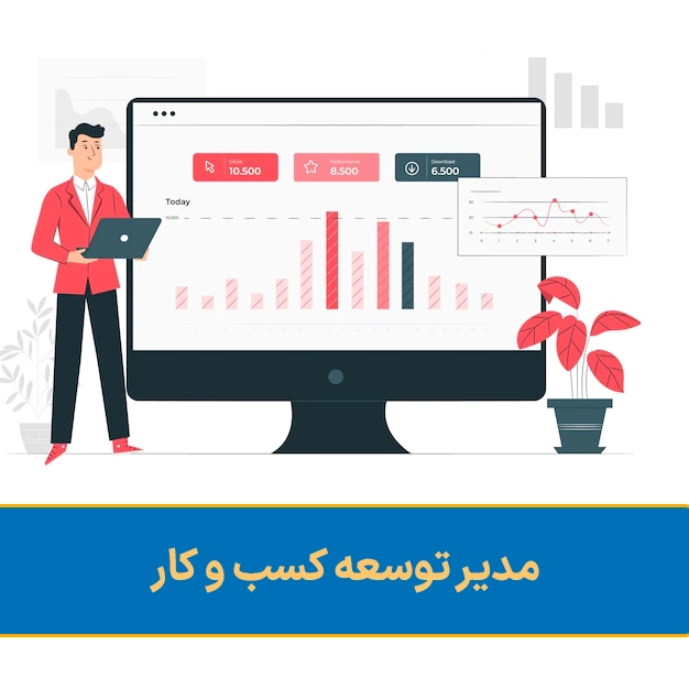 مدیر توسعه کسب و کار